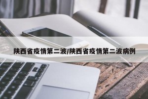 陕西省疫情第二波/陕西省疫情第二波病例