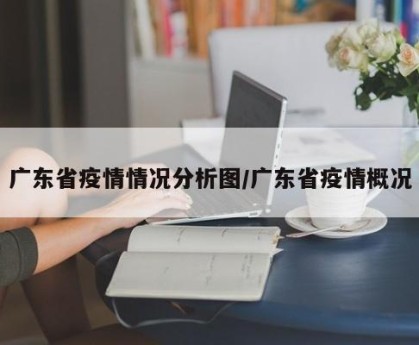 广东省疫情情况分析图/广东省疫情概况