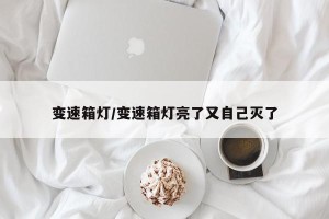 变速箱灯/变速箱灯亮了又自己灭了