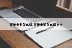 正统电瓶怎么样/正统电瓶怎么样充电
