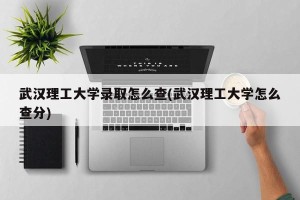 武汉理工大学录取怎么查(武汉理工大学怎么查分)