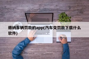 缴纳车辆罚款的app(汽车交罚款下载什么软件)