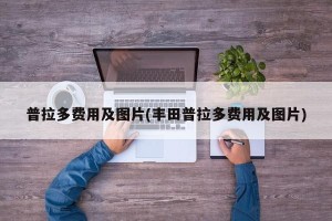 普拉多费用及图片(丰田普拉多费用及图片)